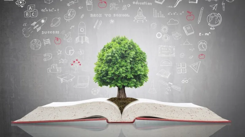 Schools as an Agent of Change Towards Sustainability